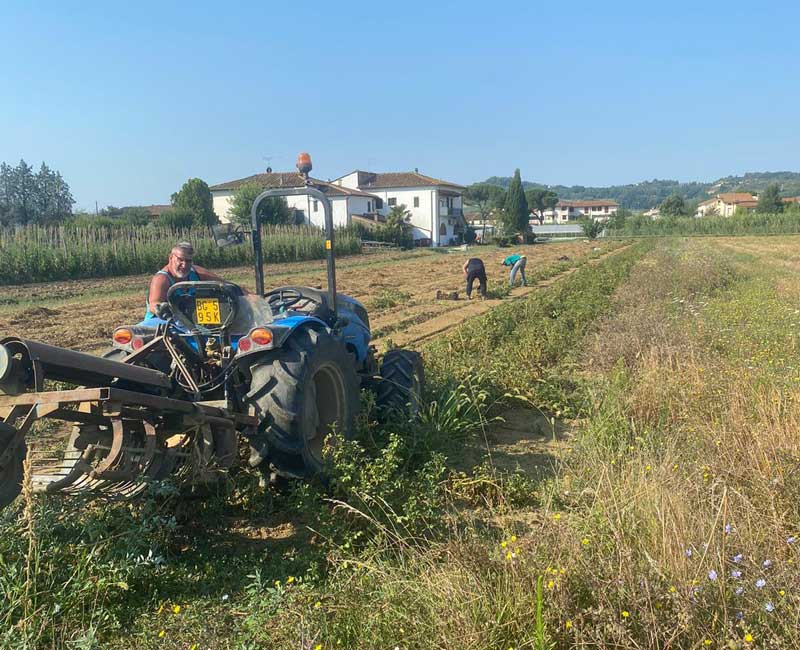 lavoro-e-autonomia-progetto-educativo