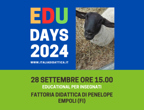 Edu Days 2024